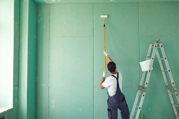 Best Mold Damage Restoration  in Florida, NY