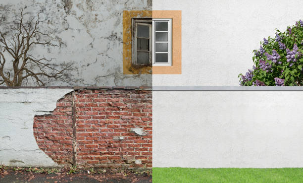 Best Mold Prevention Services  in Florida, NY