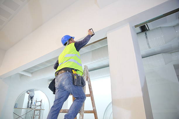 Best Mold Odor Removal Services  in Florida, NY