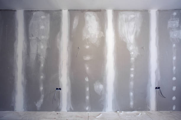 Best Comprehensive Air Testing for Mold Contaminants  in Florida, NY