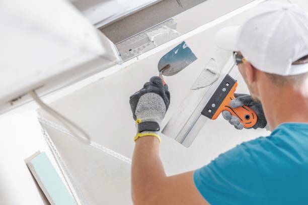 Best Environmental Consulting for Mold Prevention  in Florida, NY